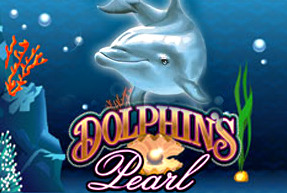 Dolphin's Perl